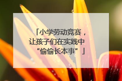 小学劳动竞赛，让孩子们在实践中“偷偷长本事”