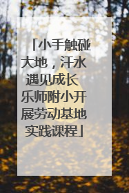 小手触碰大地，汗水遇见成长 乐师附小开展劳动基地实践课程
