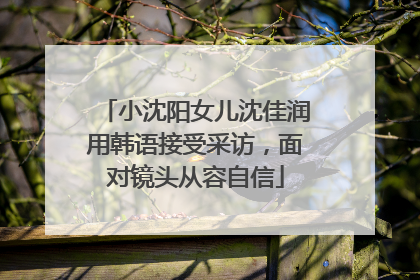 小沈阳女儿沈佳润用韩语接受采访，面对镜头从容自信