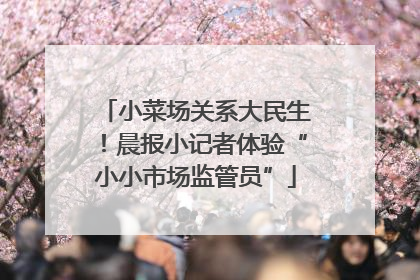 小菜场关系大民生！晨报小记者体验“小小市场监管员”