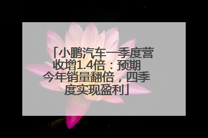 小鹏汽车一季度营收增1.4倍：预期今年销量翻倍，四季度实现盈利