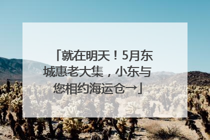 就在明天！5月东城惠老大集，小东与您相约海运仓→
