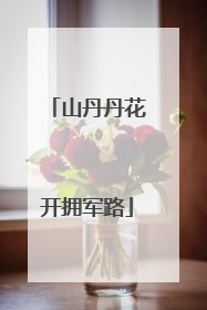 山丹丹花开拥军路