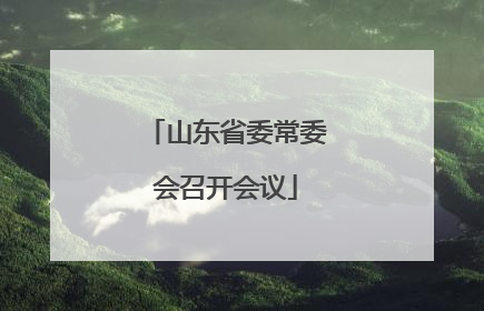 山东省委常委会召开会议