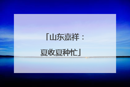 山东嘉祥：夏收夏种忙
