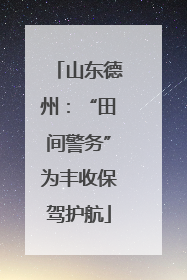 山东德州：“田间警务”为丰收保驾护航