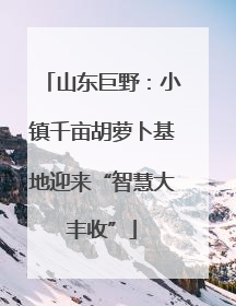 山东巨野：小镇千亩胡萝卜基地迎来“智慧大丰收”