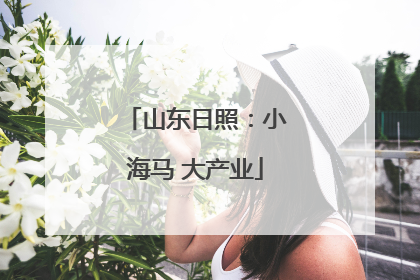 山东日照：小海马 大产业
