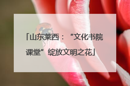 山东莱西：“文化书院课堂”绽放文明之花