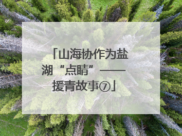 山海协作为盐湖“点睛”——援青故事⑦