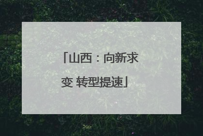 山西：向新求变 转型提速