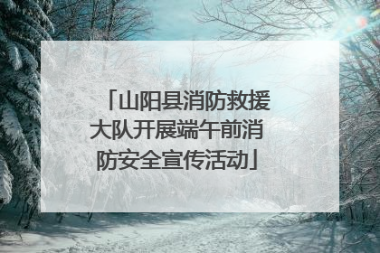 山阳县消防救援大队开展端午前消防安全宣传活动