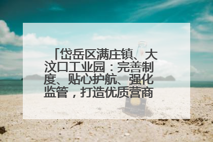 岱岳区满庄镇、大汶口工业园：完善制度、贴心护航、强化监管，打造优质营商“强磁场”