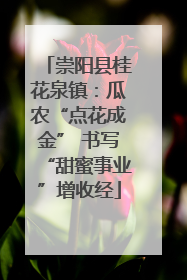 崇阳县桂花泉镇：瓜农“点花成金” 书写“甜蜜事业”增收经