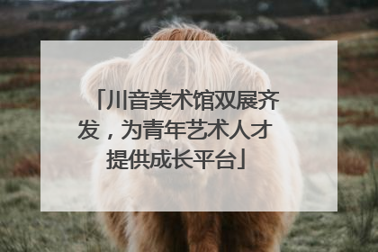 川音美术馆双展齐发，为青年艺术人才提供成长平台