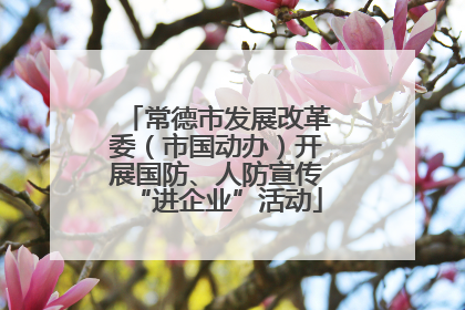 常德市发展改革委（市国动办）开展国防、人防宣传“进企业”活动