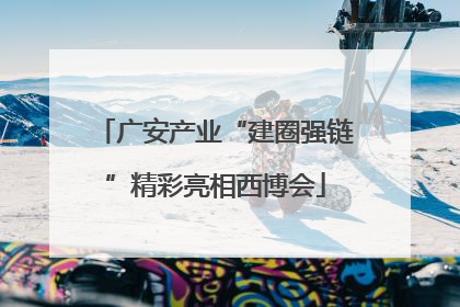 广安产业“建圈强链”精彩亮相西博会