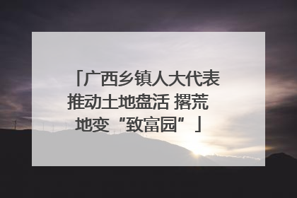 广西乡镇人大代表推动土地盘活 撂荒地变“致富园”