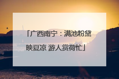 广西南宁：满池粉黛映夏凉 游人赏荷忙