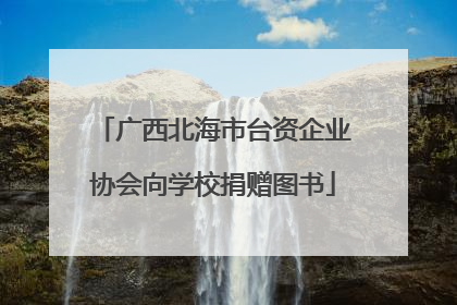 广西北海市台资企业协会向学校捐赠图书