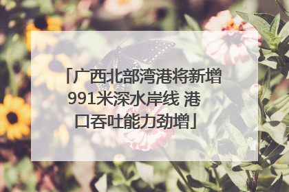 广西北部湾港将新增991米深水岸线 港口吞吐能力劲增