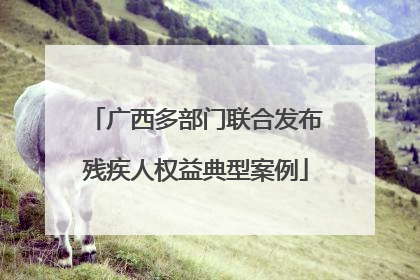 广西多部门联合发布残疾人权益典型案例
