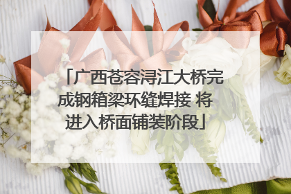 广西苍容浔江大桥完成钢箱梁环缝焊接 将进入桥面铺装阶段