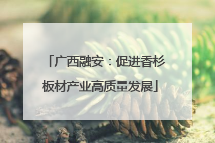 广西融安：促进香杉板材产业高质量发展