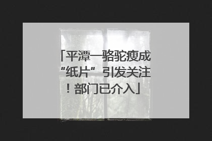 平潭一骆驼瘦成“纸片”引发关注！部门已介入