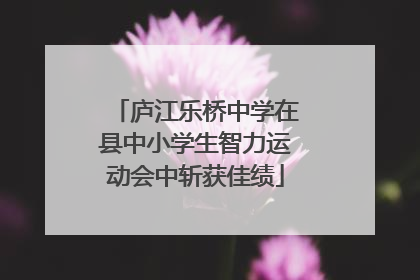 庐江乐桥中学在县中小学生智力运动会中斩获佳绩