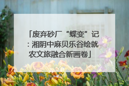 废弃砂厂“蝶变”记：湘阴中麻贝乐谷绘就农文旅融合新画卷