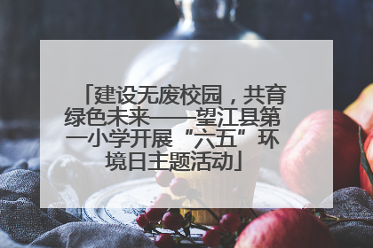 建设无废校园，共育绿色未来——望江县第一小学开展“六五”环境日主题活动