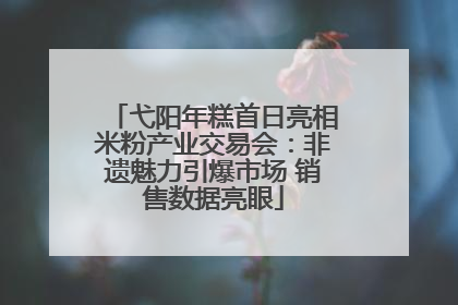 弋阳年糕首日亮相米粉产业交易会：非遗魅力引爆市场 销售数据亮眼
