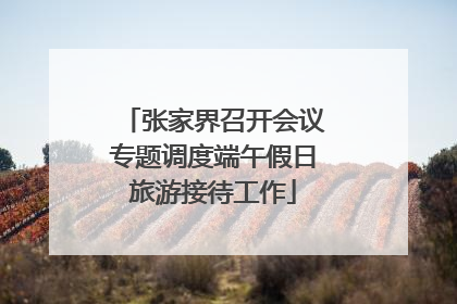 张家界召开会议专题调度端午假日旅游接待工作