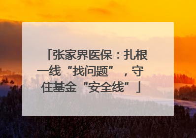 张家界医保：扎根一线“找问题”，守住基金“安全线”