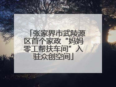 张家界市武陵源区首个家政“妈妈零工帮扶车间”入驻众创空间