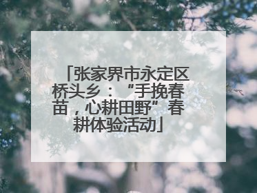 张家界市永定区桥头乡：“手挽春苗，心耕田野”春耕体验活动