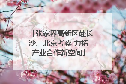 张家界高新区赴长沙、北京考察 力拓产业合作新空间