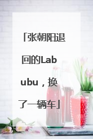 张朝阳退回的Labubu，换了一辆车