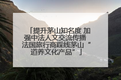 提升茅山知名度 加强中法人文交流传播 法国旅行商踩线茅山“道养文化产品”