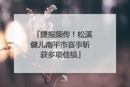 捷报频传！松溪健儿南平市赛事斩获多项佳绩