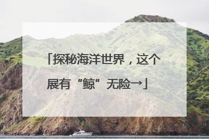探秘海洋世界，这个展有“鲸”无险→