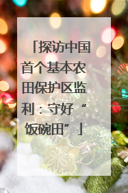 探访中国首个基本农田保护区监利：守好“饭碗田”