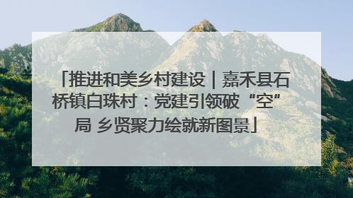 推进和美乡村建设｜嘉禾县石桥镇白珠村：党建引领破“空”局 乡贤聚力绘就新图景