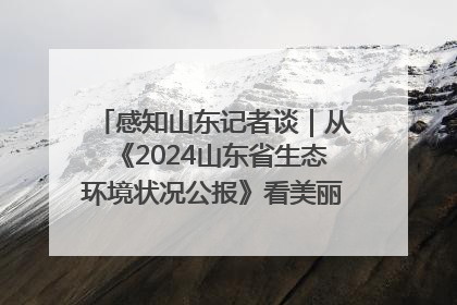 感知山东记者谈｜从《2024山东省生态环境状况公报》看美丽山东建设的“成绩单”与“任务书”