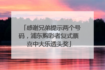 感谢兄弟提示两个号码，浦东购彩者复式票喜中大乐透头奖