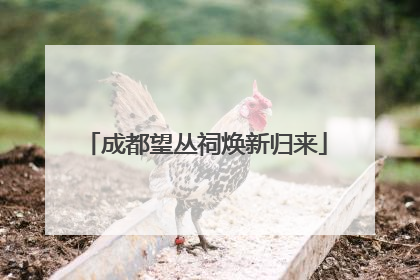 成都望丛祠焕新归来