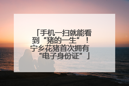 手机一扫就能看到“猪的一生”！宁乡花猪首次拥有“电子身份证”