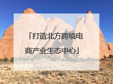 打造北方跨境电商产业生态中心
