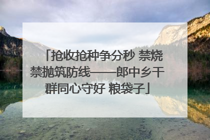 抢收抢种争分秒 禁烧禁抛筑防线——郎中乡干群同心守好 粮袋子